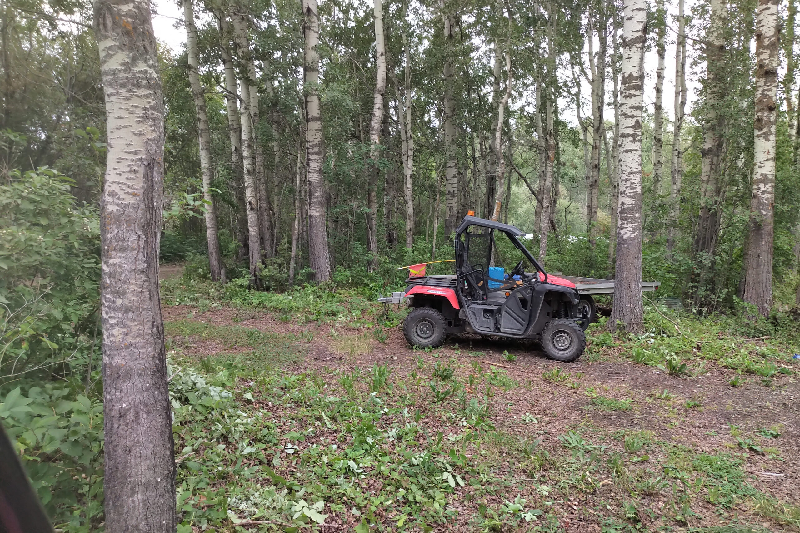 Southbrook Safety | Get Equipped with Essential UTV Training