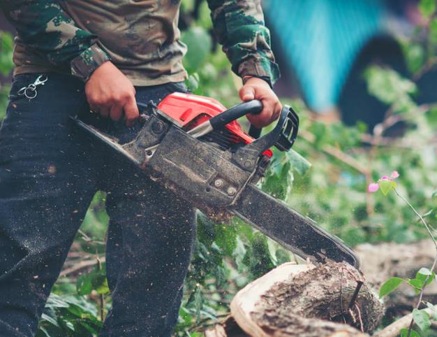 Southbrook Safety | Chainsaw Certification Alberta Neww image