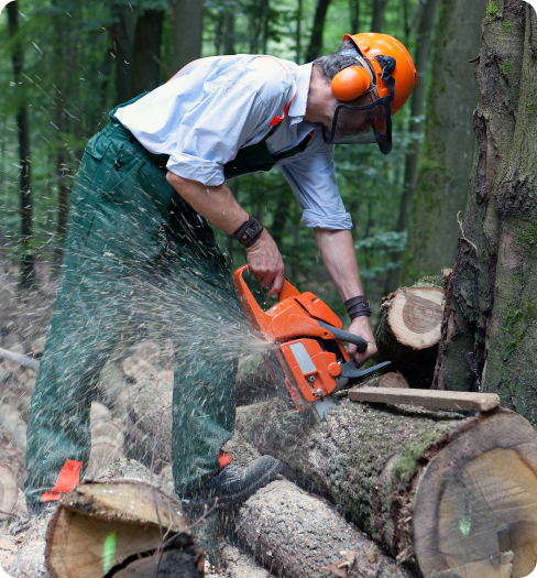 Southbrook Safety | Chainsaw Certification Alberta Neww image