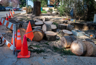 Southbrook Safety | Brush Saw Certifications Alberta Organizations across the province choose us for our reliability, professionalism, and consistent training quality.