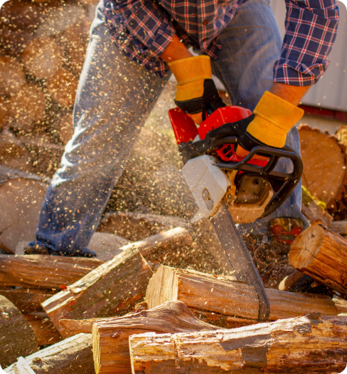 Southbrook Safety | Chainsaw Certification Alberta Neww image
