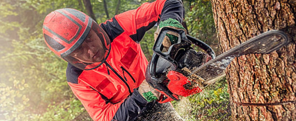 chainsaw certification