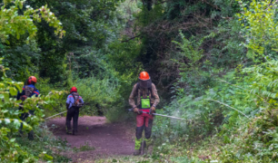 Why Brush Saw Certification Is Essential for Forestry and Land Clearing Workers