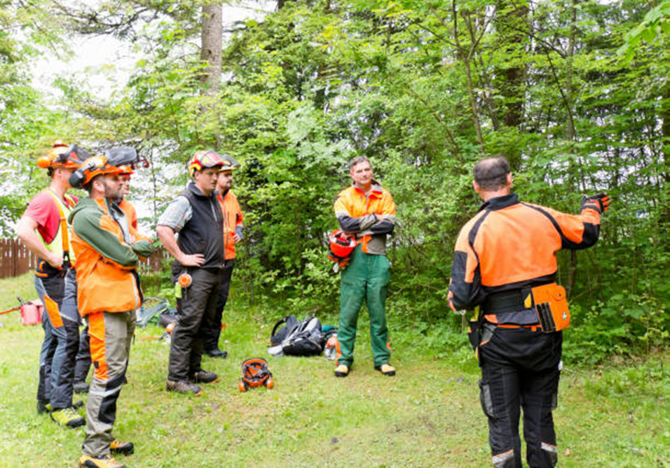 Southbrook Safety | Why Brush Saw Certification Is Essential for Forestry and Land Clearing Workers Clearing Saw Courses