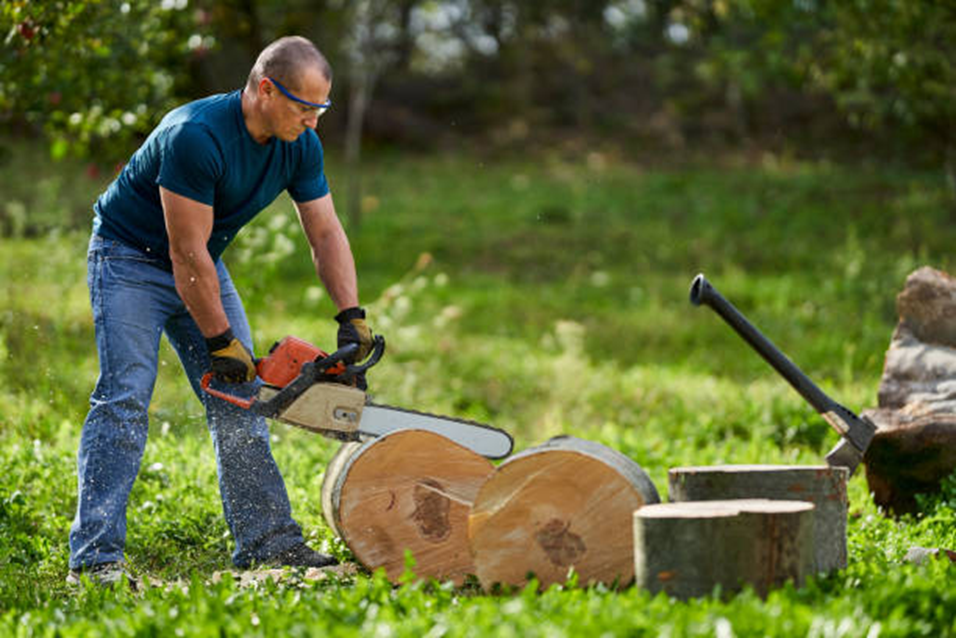 Chainsaw Techniques to Improve Cutting Efficiency
