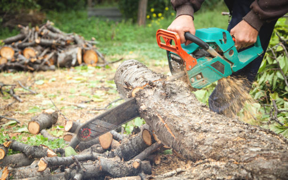 Chainsaw Techniques to Improve Cutting Efficiency