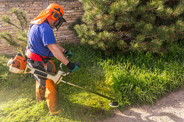 Brush Saw Certification