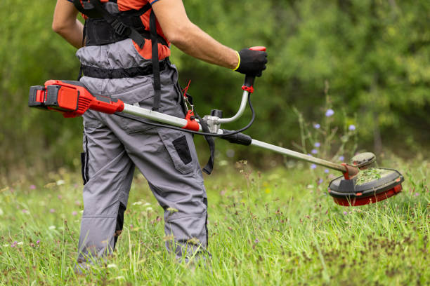 Brush Saw Certification