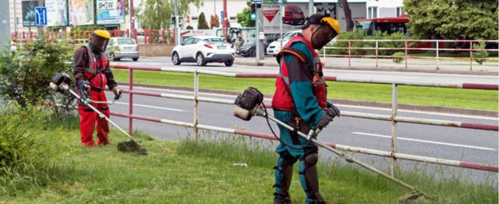 Brush Saw Safety Mistakes