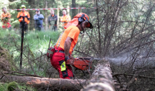 Brush Saw Certification