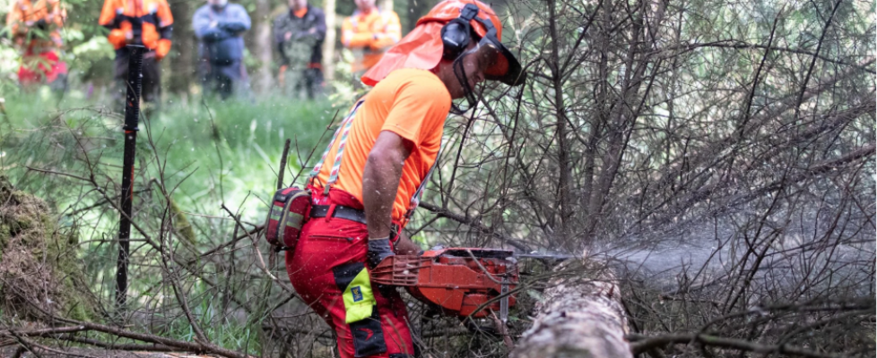 Brush Saw Certification