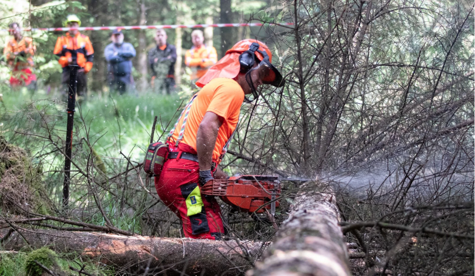 Brush Saw Certification