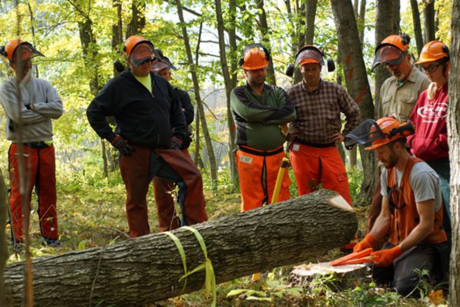 Brush Saw Certification