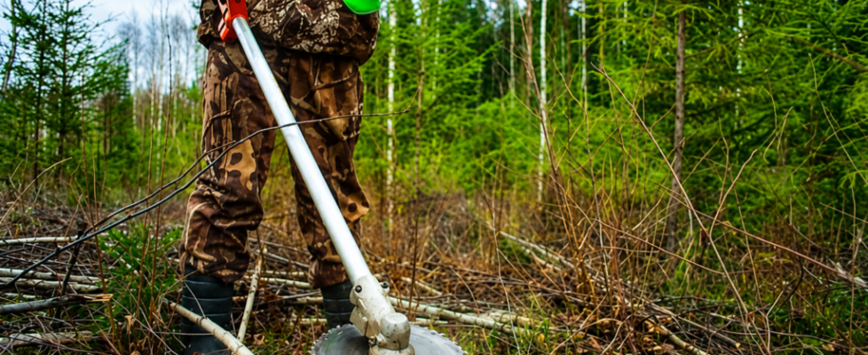 Brush Saw Safety Training