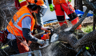 Chainsaw Safety Training