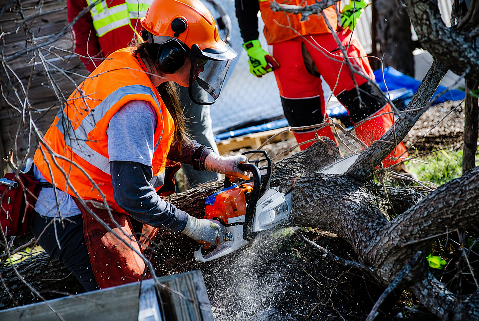 Chainsaw Safety Training