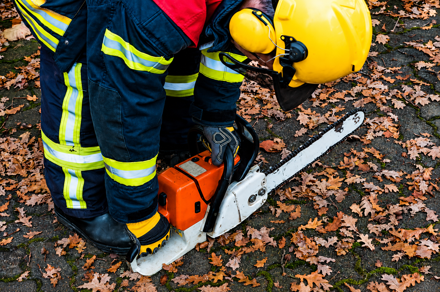 Southbrook Safety | How Micro Climate Conditions Affect Chainsaw Safety and Cutting Accuracy Chainsaw Safety Training