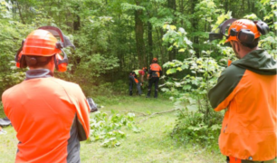 Brush Saw Safety Techniques