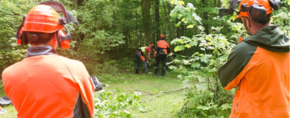 Brush Saw Safety Techniques
