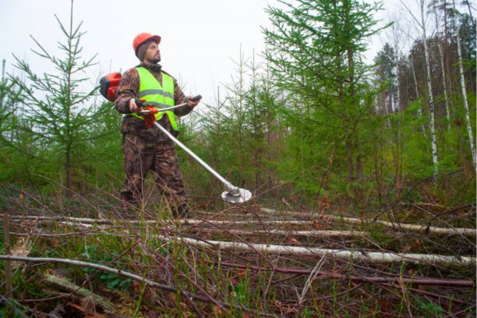 Brush Saw Safety Techniques
