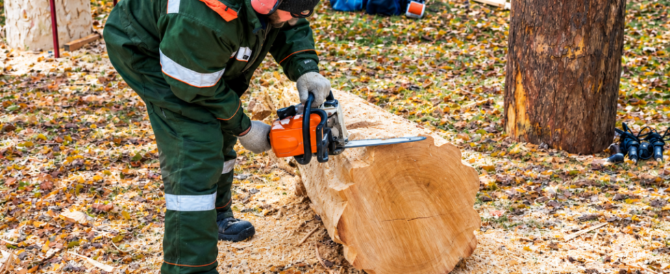 Chainsaw Certification Courses